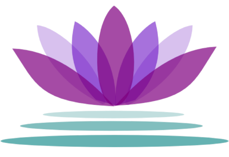 salasin_logo